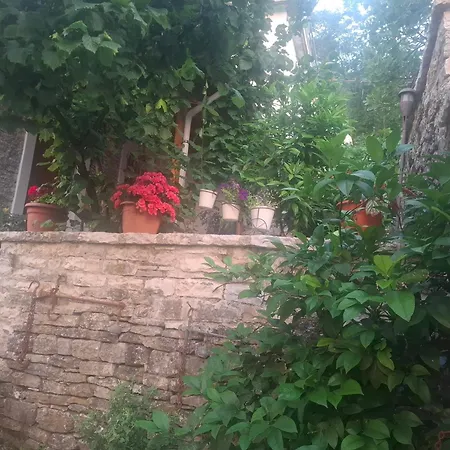 Arpet
